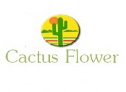 Cactus Flower