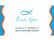 Fish Spa