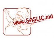 Saslic.md