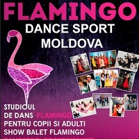 Flamingo Dance Sport Moldova